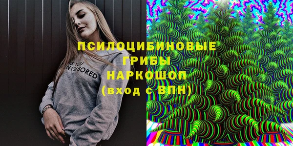 герыч Богородск