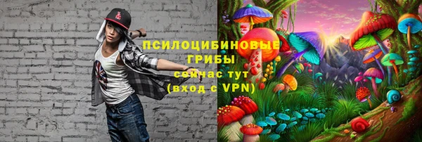 стафф Белоозёрский