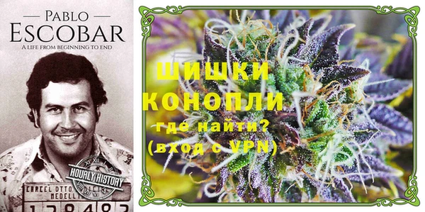 эйфоретик Богданович