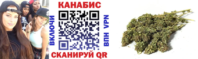 Бошки Шишки THC 21%  Кимовск 